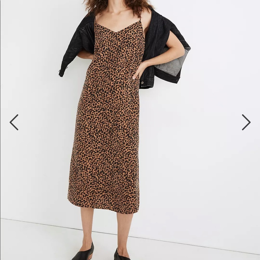 Madewell Silk Eva Slip Dress in Painted Leopard